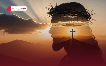 XIV Domingo do Tempo Comum | Ano A | 05-07-2026