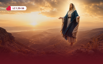 XX Domingo do Tempo Comum | Ano A | 16-08-2026